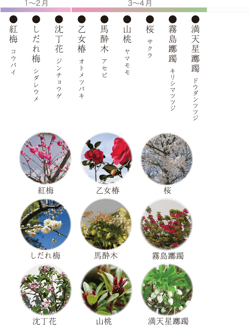 お花のカレンダー